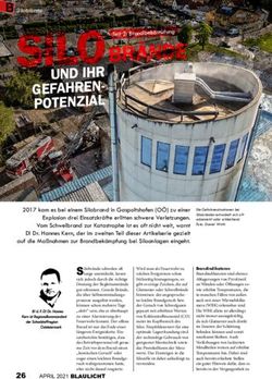 UND IHR GEFAHREN-POTENZIAL