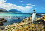 S&uuml;dafrika Einzigartige Erlebnisreise - Kultour Ferienreisen