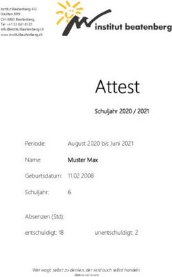 Attest Schuljahr 2020 / 2021 - Institut Beatenberg