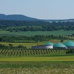 Etablierung von Blühflächen zur Energiegewinnung - Das Projekt steht für: Biodiversität Boden- & Wasserschutz Biogas - Agrokraft