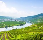 Das Moseltal und die Loreley - HanseatReisen
