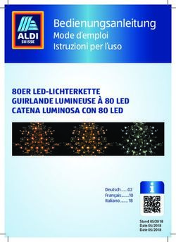 Bedienungsanleitung Mode d'emploi Istruzioni per l'uso - 80ER LED-LICHTERKETTE GUIRLANDE LUMINEUSE &Agrave; 80 LED CATENA LUMINOSA CON 80 LED - Aldi Suisse