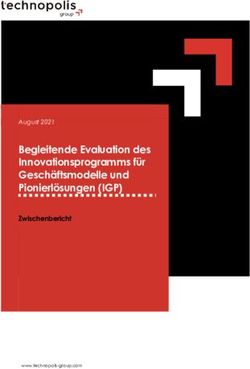 Begleitende Evaluation des Innovationsprogramms für Geschäftsmodelle und Pionierlösungen (IGP) - Zwischenbericht - BMWi