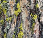 Bildung und Spiritualit&auml;t Januar bis Dezember 2022 - R&uuml;gel-Programm Rendez-vous im Kunsthaus Themenabende Palliative Care und Begleitung ...