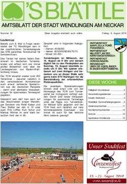 Lautercup - Stadt Wendlingen am Neckar