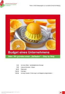 Budget eines Unternehmens - Oder: Wir gr&uuml;nden einen "Saftladen" - Step by Step - Schule.at