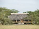 Privatreise Safari Tansania & Baden in Sansibar - Reisezeitraum: 01.10.2021 31.03.2022 - GEO Reisen