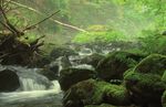 Unterwegs im Nationalpark 2018 - Nationalpark Harz