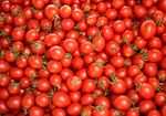 Urlaub für die Geschmacksnerven: Tomaten sorgen für Frühlingsgefühle - Deutsches Obst und ...