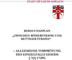 ALLGEMEINE VORPR&Uuml;FUNG DES EINZELFALLS GEM&Auml;SS 7(1) UVPG - BEBAUUNGSPLAN "ZWISCHEN R&Ouml;MERSTRASSE UND KETTIGER STRASSE"