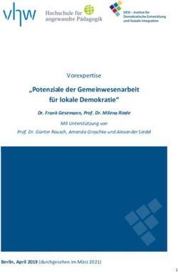 "Potenziale der Gemeinwesenarbeit f&uuml;r lokale Demokratie" - Vorexpertise Dr. Frank Gesemann, Prof. Dr. Milena Riede
