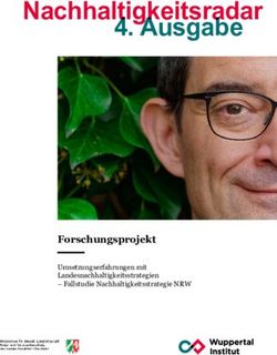 Forschungsprojekt Umsetzungserfahrungen mit Landesnachhaltigkeitsstrategien - Fallstudie Nachhaltigkeitsstrategie NRW - Wuppertal Institut ...