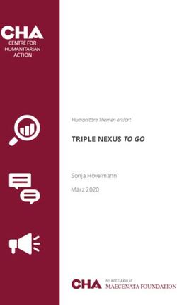TRIPLE NEXUS TO GO Sonja Hövelmann März 2020 - MAECENATA FOUNDATION - Centre for Humanitarian Action (CHA)