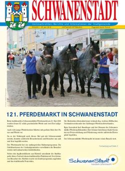 PFERDEMARKT IN SCHWANENSTADT - Bürgermeister Zeitung