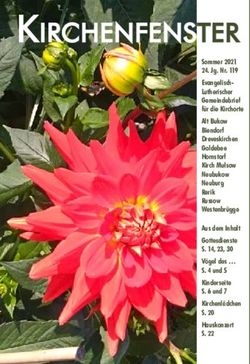 Kirchenfenster - Luth. Kirchengemeinde Neuburg