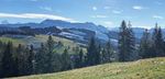 Gesch&auml;ftsbericht 2020 - LANDI Region Langnau
