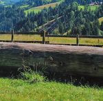 Gesch&auml;ftsbericht 2020 - LANDI Region Langnau