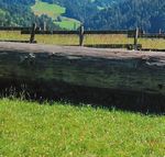Gesch&auml;ftsbericht 2020 - LANDI Region Langnau