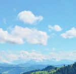 Gesch&auml;ftsbericht 2020 - LANDI Region Langnau