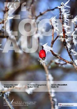 Familienfreundlich Voranschlag 2021 Seiten 06-07 - Gemeinde Lochau