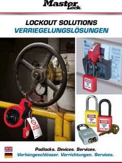 LOCKOUT SOLUTIONS VERRIEGELUNGS L&Ouml;SUNGEN - Padlocks. Devices. Services. Vorh&auml;ngeschl&ouml;sser. Vorrichtungen. Services - Dr. Wurzer