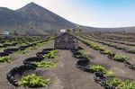 Lanzarote Wandern auf der Vulkaninsel - 29. Februar 2020 - Alpina Tourdolomit