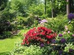 Streifzüge durch private Gärten & Parks von Weltruhm - Oliva ...