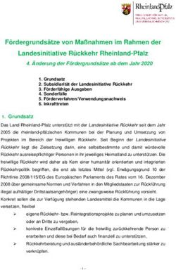 F&ouml;rdergrunds&auml;tze von Ma&szlig;nahmen im Rahmen der Landesinitiative R&uuml;ckkehr Rheinland-Pfalz - MFFJIV
