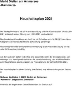 Haushaltsplan 2021 - Diessen.de