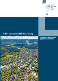 Hidden Champions und Stadtentwicklung - Die wirtschaftliche und gesellschaftliche Bedeutung innovativer Unternehmen f&uuml;r Kleinst&auml;dte in peripherer ...