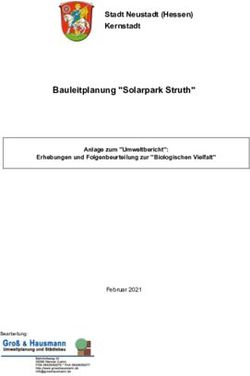 Bauleitplanung "Solarpark Struth" - Stadt Neustadt (Hessen) Kernstadt Anlage zum "Umweltbericht"