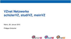 VZNET NETZWERKE SCHÜLERVZ, STUDIVZ, MEINVZ - MAINZ, 28. JANUAR 2010 PHILIPPE GRÖSCHEL