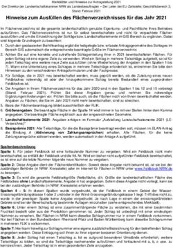 Hinweise zum Ausf&uuml;llen des Fl&auml;chenverzeichnisses f&uuml;r das Jahr 2021 - Fl&auml;chenverzeichnis Ausf&uuml;llhinweise