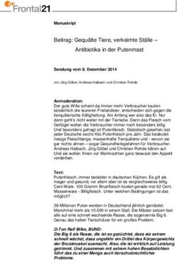 Beitrag: Gequ&auml;lte Tiere, verkeimte St&auml;lle - Antibiotika in der Putenmast