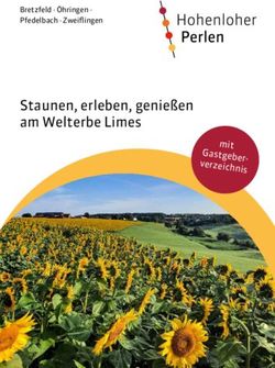 Staunen, erleben, genie&szlig;en am Welterbe Limes - mit Gastgeber-verzeichnis