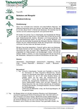 Baikalsee und Mongolei Reisebeschreibung: Einstimmung: Steppenfuchs Reisen