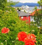 Norwegen bis zum Nordkap - Kreuzfahrt mit der Costa Fascinosa vom 28. Juli bis 9. August 2021 - HAZ Leserreisen Logo