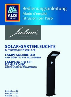 SOLAR-GARTENLEUCHTE LAMPE SOLAIRE LED MIT BEWEGUNGSMELDER - Bedienungsanleitung