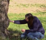 Die Birnbaumeule (Atethmia ambusta) - ein seltener Falter im Naturpark Obst-Hügel-Land