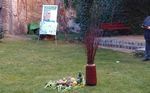 Siehe, nun mache ich etwas Neues. Schon sprie&szlig;t es, merkt ihr es nicht? - Pfarrbrief der katholischen Pfarrei Bernhard Lichtenberg Berlin-Mitte