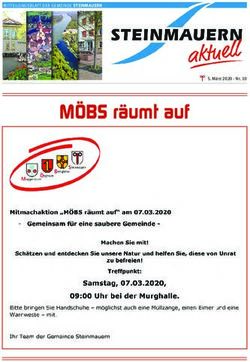 M&Ouml;BS r&auml;umt auf - Steinmauern