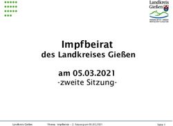 Impfbeirat des Landkreises Gie&szlig;en am 05.03.2021-zweite Sitzung-Landkreis Gie&szlig;en - Corona