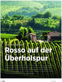 Rosso auf der &Uuml;berholspur - Romagna Sangiovese - Stoppervini