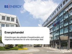 Energiehandel Entwicklungen des globalen Energiehandels und m&ouml;gliche Implikationen f&uuml;r eine nachhaltige Welt