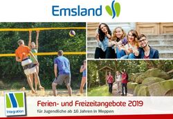 Ferien- und Freizeitangebote 2019 - f&uuml;r Jugendliche ab 16 Jahren in Meppen Integration - Landkreis Emsland