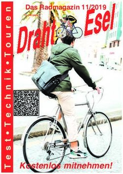 Kostenlos mitnehmen! - Das Radmagazin 11/2019 - DrahtEsel