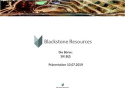 SIX:BLS Die B&ouml;rse: Pr&auml;sentation 10.07.2019 - Blackstone ...
