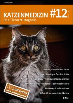 3#12 KATZENMEDIZIN Das Tierarzt-Magazin.