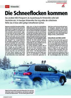 Die Schneeflocken kommen - TEST - Arbeiterkammer
