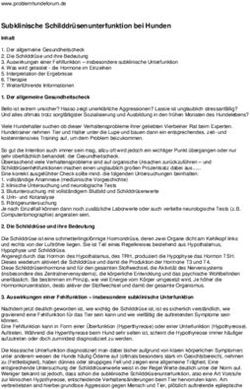 Subklinische Schilddr&uuml;senunterfunktion bei Hunden